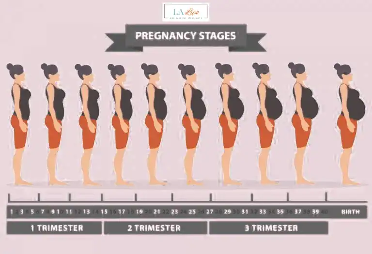 First Trimester (Weeks 1–12): Early Changes You Might Not Notice Spalding